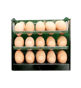 블럭마트 계란트레이 30구, 그린