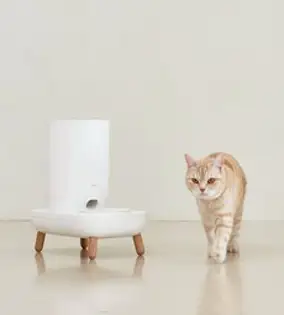 DUIT 반려동물 더 테이블 플러스 자동급식기 + 그릇 S + 우드 짧은 다리 세트, 혼합색상