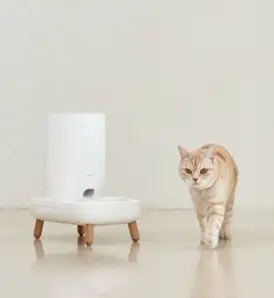 DUIT 반려동물 더 테이블 플러스 자동급식기 + 그릇 M + 우드 짧은 다리 세트, 혼합색상