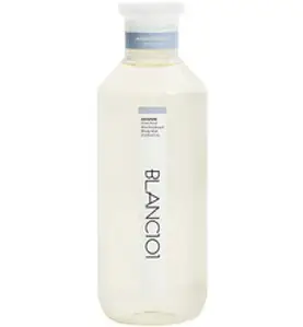 블랑101 유아 세탁 세제 시그니처 1L, 1개