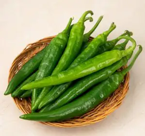 국내산 오이고추, 400g, 1개