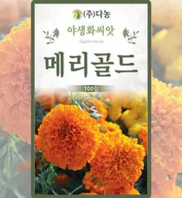 아프리칸메리골드 씨앗 100립 꽃씨앗 꽃씨 종자, 1개