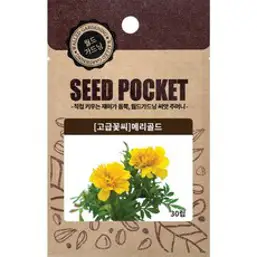 월드가드닝 정원 텃밭 좋은 메리골드, 1개