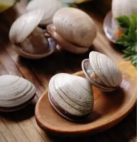 원종 백합 퓨전 2구(16/17)-1세트