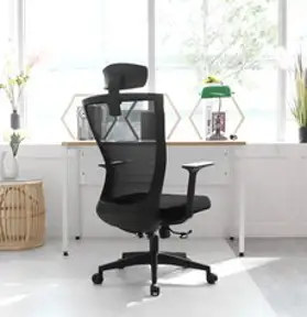 린백 사무용 컴퓨터 책상 의자 LB18H, LB18HB-블랙바디, 블랙