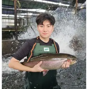 1급수에서 자라는 이화정 송어, 가시제거 됨, 송어회 세트 400g