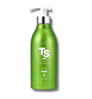 TS 올뉴 TS 샴푸, 500g, 1개