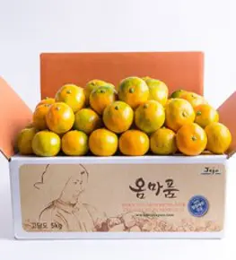[옴마품]달콤새콤 햇노지감귤 4.5kg로얄 or 소과 랜덤