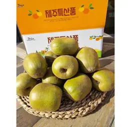 위미리감귤농장 제주산 고당도 레드키위 5kg 3kg 2kg 산지직송, 1박스, 레드키위3kg(왕특)