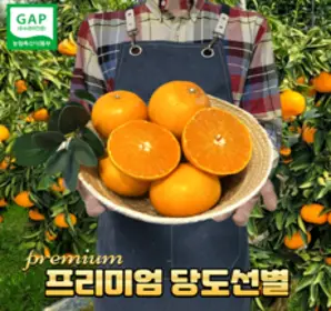 고당도 산지직송 제주천혜향 제주도 천혜향 선물세트 가정용 3kg 5kg 10kg, 새콤달콤 천혜향 가정용 중대과 5kg