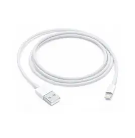 Apple 정품 Lightning-USB 충전 케이블, Lightning, USB, 1m