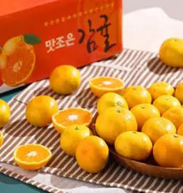 [제주땡큐베리팜] 농장직송 제주 노지(극조생) 감귤, 로얄과(S-M)10kg
