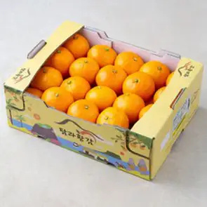 탐라황감 당도선별 서귀포 하우스 감귤, 2.5kg, 1개