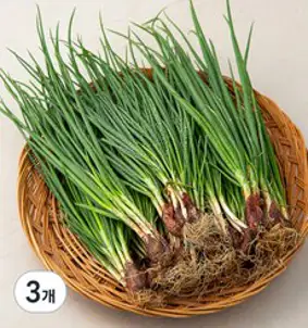 곰곰 국내산 흙쪽파, 500g, 3개