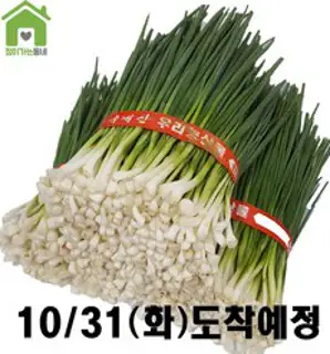 국내산 깐쪽파 쪽파 파 1단 (약1Kg), 1kg, 1개