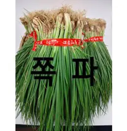 쪽파 보성 흙쪽파 가랑파 실파 1단 (1.5kg 내외) 야채맘, 1.5kg, 1개