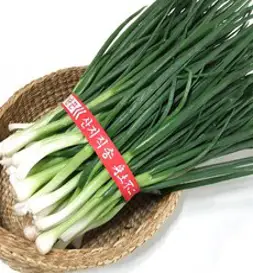 싱싱한 쪽파 깐쪽파, 1kg내외, 1단
