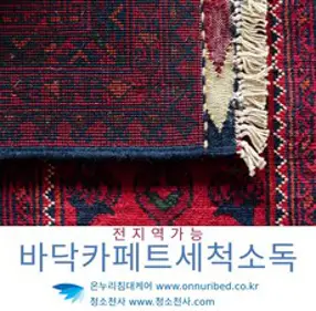 SHILONG UV 무선 침구 청소기 세트형, 로즈 골드