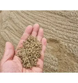 고운모래10kg/강모래/천연모래/산소모래/잔디/다육이/모래놀이, 1개