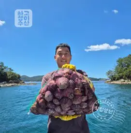 <산지직송> 깔끔한 세척 석화+홍가리비 세트/석화5kg 10kg 15kg 20kg/홍가리비2kg 3kg 5kg/석화 굴/완벽세척/제철석화/통영 성우수산 굴 생굴 가리비, 석화 5kg, 1개”></figure>
<h2><span class=