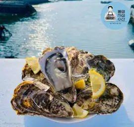 하고잽이수산 브러시세척 깔끔한 통영 석화 굴 (조개칼+회초장증정), 가리비1box, 3kg