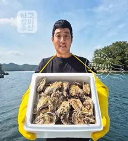 [굴공장] 고압세척 통영석화 산지직송 석화굴, 1박스, 10kg
